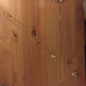 Double strand charm necklace